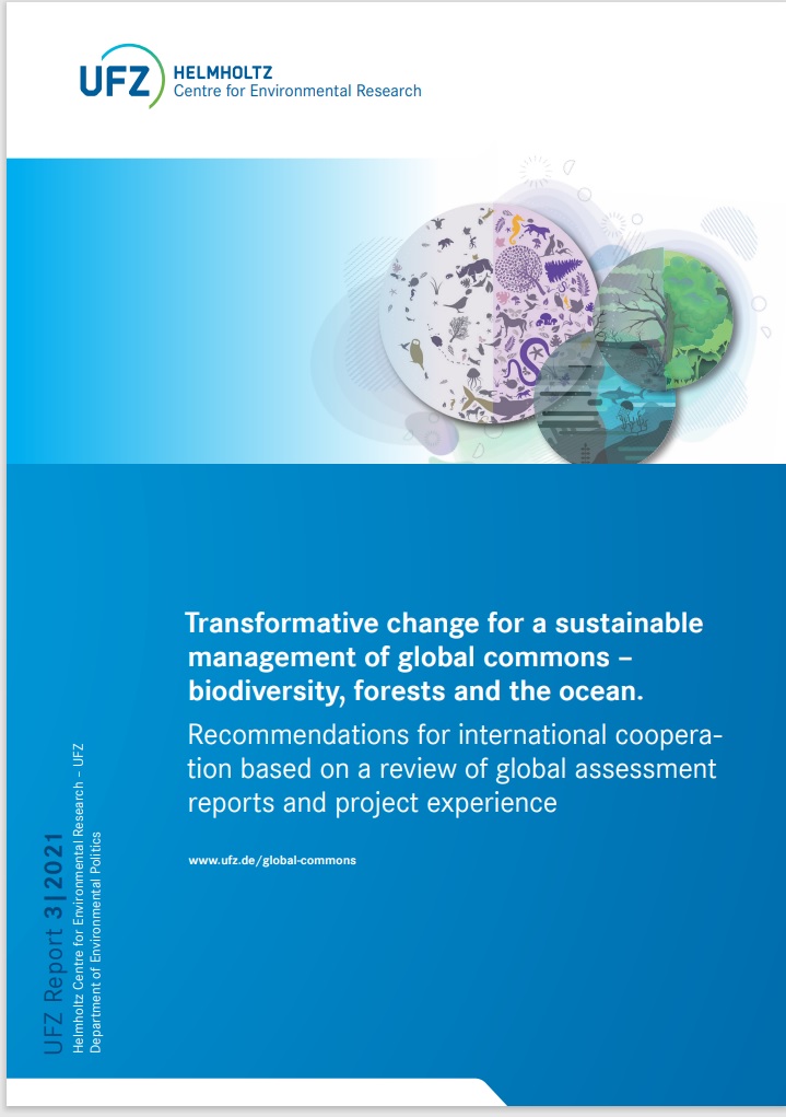 Full report transformative change